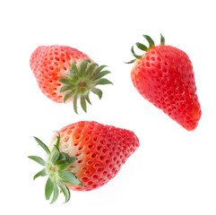 いちご　あきひめ