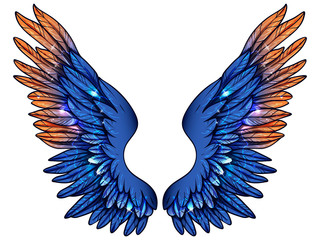 Obraz premium Beautiful magic shiny glittery blue wings with some orange feathers, vector