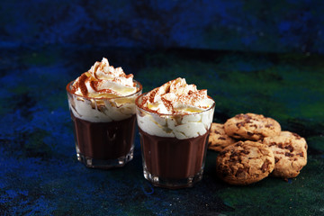 hot chocolate with cocoa and chocolate chip cookies and whipped cream