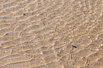 Wave of the sea on the sand beach