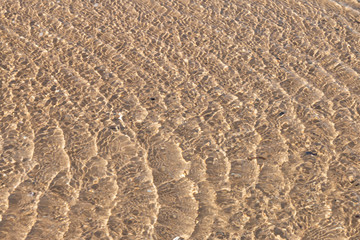 Wave of the sea on the sand beach