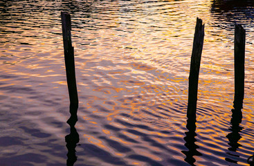 Pilings at Sunset