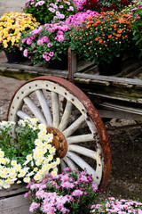 Fall Wagon with Mums