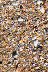 Many kind of the beach in Istanbul,Sile province. 