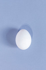 A single white egg on the bright background. View from above. Egg industrial production
