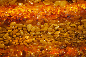 Many beautiful amber stones as a texture or background. Amber Wall