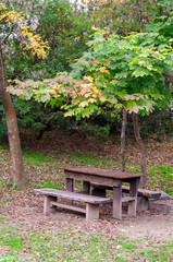 Wooden table and benches for rest in the autumn Park.