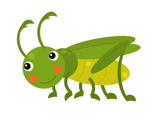 Fototapeta na wymiar Cartoon animal grasshopper hopper on white background illustration