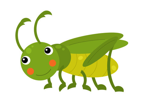recommend clip art: Cartoon animal grasshopper hopper on white background illustration