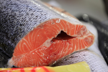 fresh raw salmon on ice