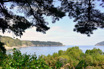 Trees on the beach of Sacido, in Viveiro, Lugo, Galicia. Spain. Europe. October 05, 2019