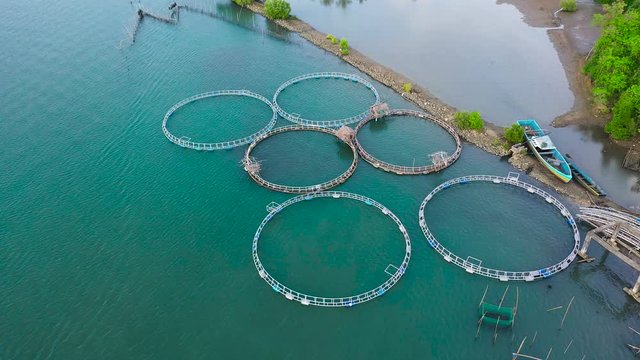 Fisheries on Luzon Island, Philippines. Fish farm, top view. Aerial view of fish ponds for bangus, milkfish.
