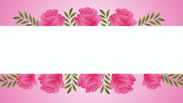 beautifull roses flowers square frame animation