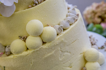 wedding cake with chocolate and citrus