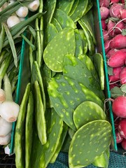 Preparation of nopal cactus dish