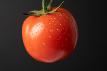 Studio shot of tomato with water on skin