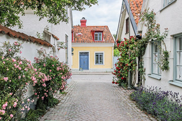 rose alley with old buildings in old town Visby, Sweden