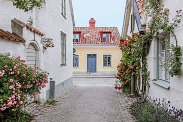 Fototapeta na wymiar rose alley with old buildings in Visby old town, Sweden