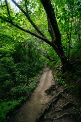 Travel photography of the Baltic sea coastline, near Jastrzebia Gora, Poland.