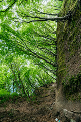 Travel photography of the Baltic sea coastline, near Jastrzebia Gora, Poland.