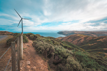 Landscape of Makara Beach in summer, Wellington, New Zealand  