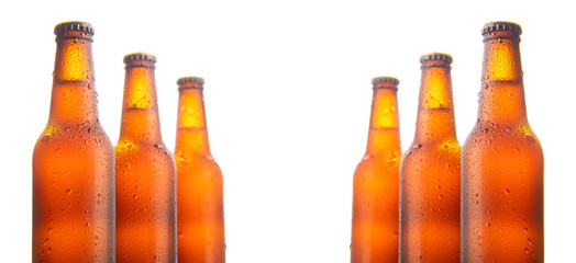 Set of six beer bottles isolated on white background
