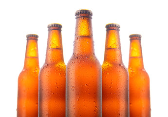 Set of five beer bottles isolated on white background
