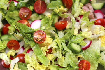 Fresh green salad with tomatoes, cucumbers, radishes and tuna. Mediterranean food. Healthy eating. Close-up vegetable salad