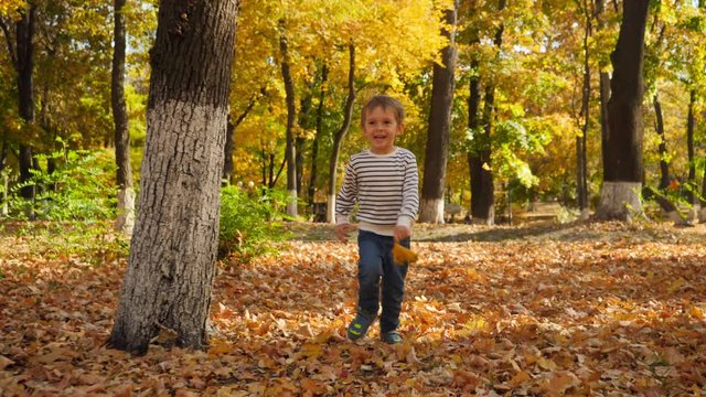 4k video of cheerful smiling 4 years old boy running in autumn park