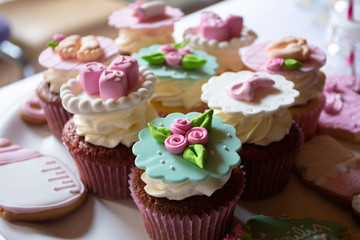 Sweet Cupcakes 