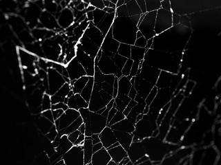 abstract web background