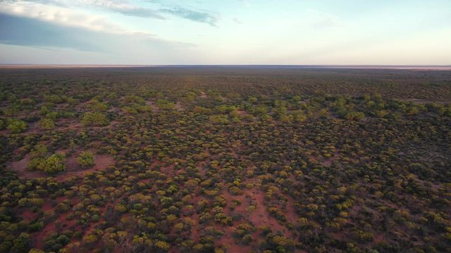 Golden Outback near Paynes Find in Western Australia