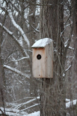 Bird House with Snow on the Roof