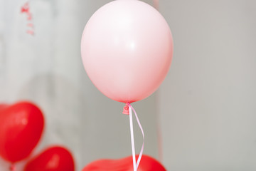red and pink helium balloons with curly ribbons on gray background during celebration