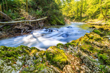 Fototapeta na wymiar Natural Landscapes in the Forest, River and Waterfall in Vintgar Gorge near Bled Lake, Slovenia
