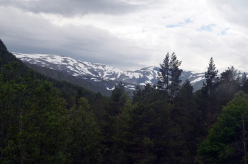 Fototapeta premium Railway travel in Norway.Views from the train. The Bergen - Oslo train. 