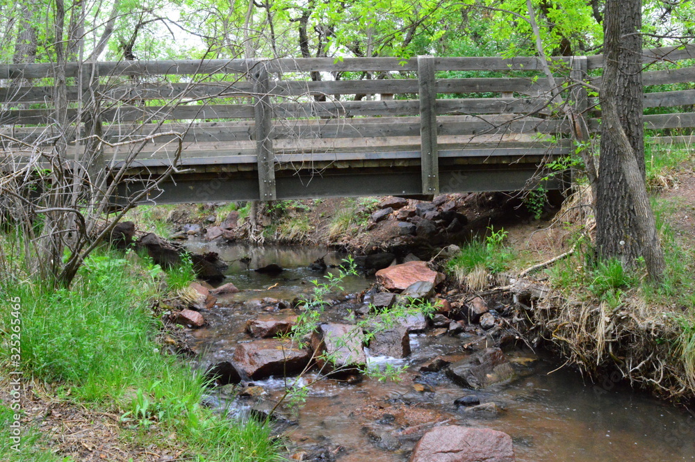 Wall mural wooden bridge in forest