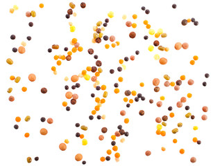 Different types of lentils isolated on a white background.