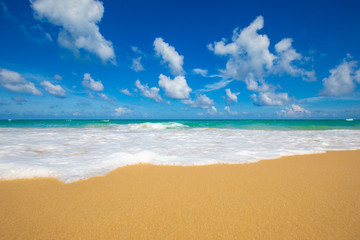 Sea beach wave blue sky sunny background summer vacation