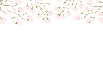 Obraz na płótnie Canvas Vector magnolia flowers background illustration