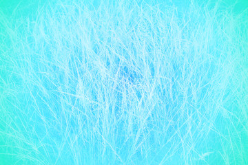 Obraz premium abstract background blue and green gradient colour and copy space