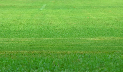Obraz na płótnie Canvas Small mower that keeps mowing football field 