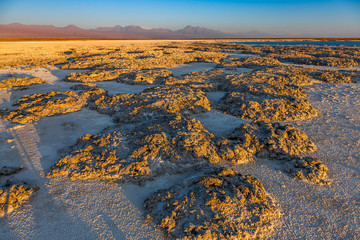 Couple walking in Piedras Rojas (Red Rocks), Deserto do Atacama (Atacama Desert), Chile
