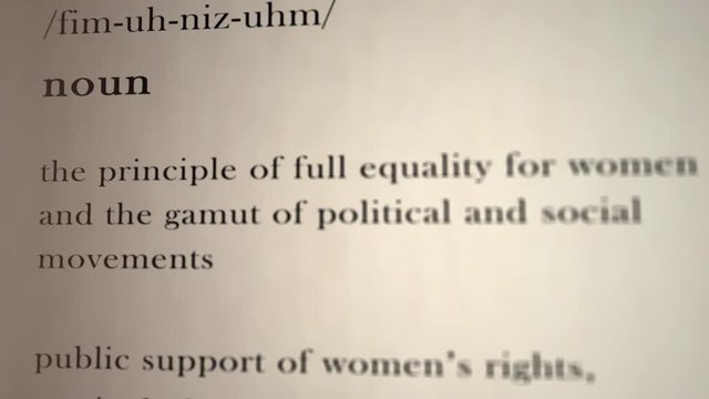 Feminism Definition