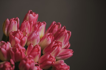 bouquet of pink tulips