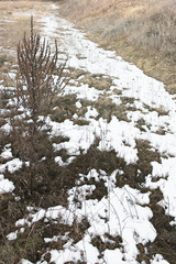  last snow on beautiful field 