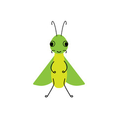 Vector insect,Grasshopper . Flat design for children. Cute cartoon kawaii funny Doodle character