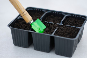filling the ground in eco-cans for planting seeds