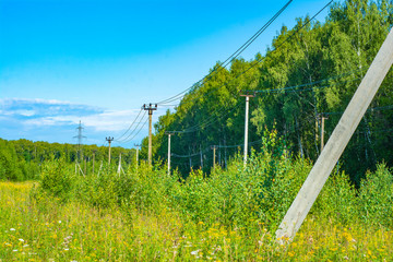 Poles with a power line transmitting electricity between small rural cities standing on the edge of a forest between green trees. Summer, sunny weather.