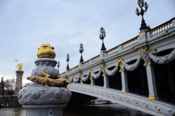 Obraz premium Un lézard sur le pont alexandre 3